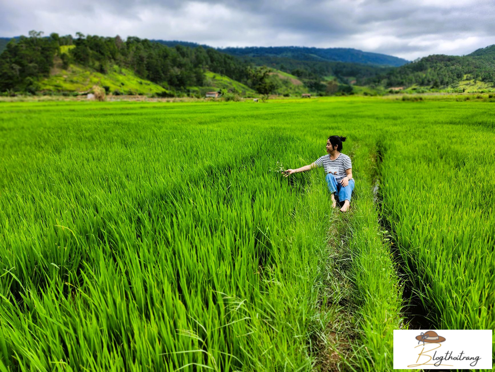 Mẹo tẩy vết bẩn trên áo trắng