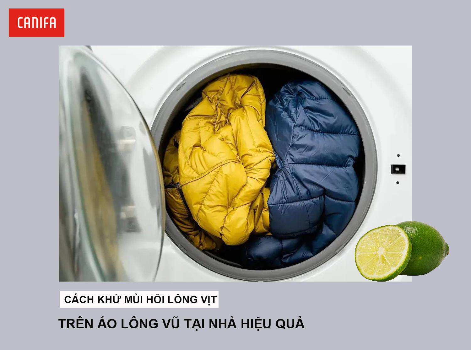 cach-giat-ao-long-vu-het-mui-hoi