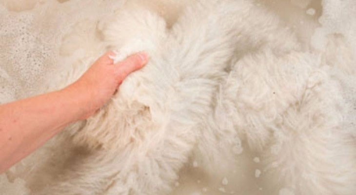Những bước giặt áo lông vũ hiệu quả