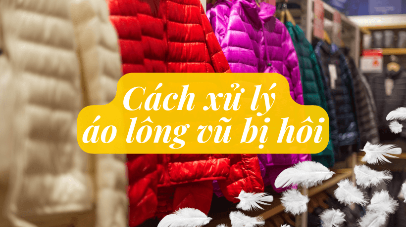 Tổng quan về áo lông vũ và nguyên nhân gây mùi hôi